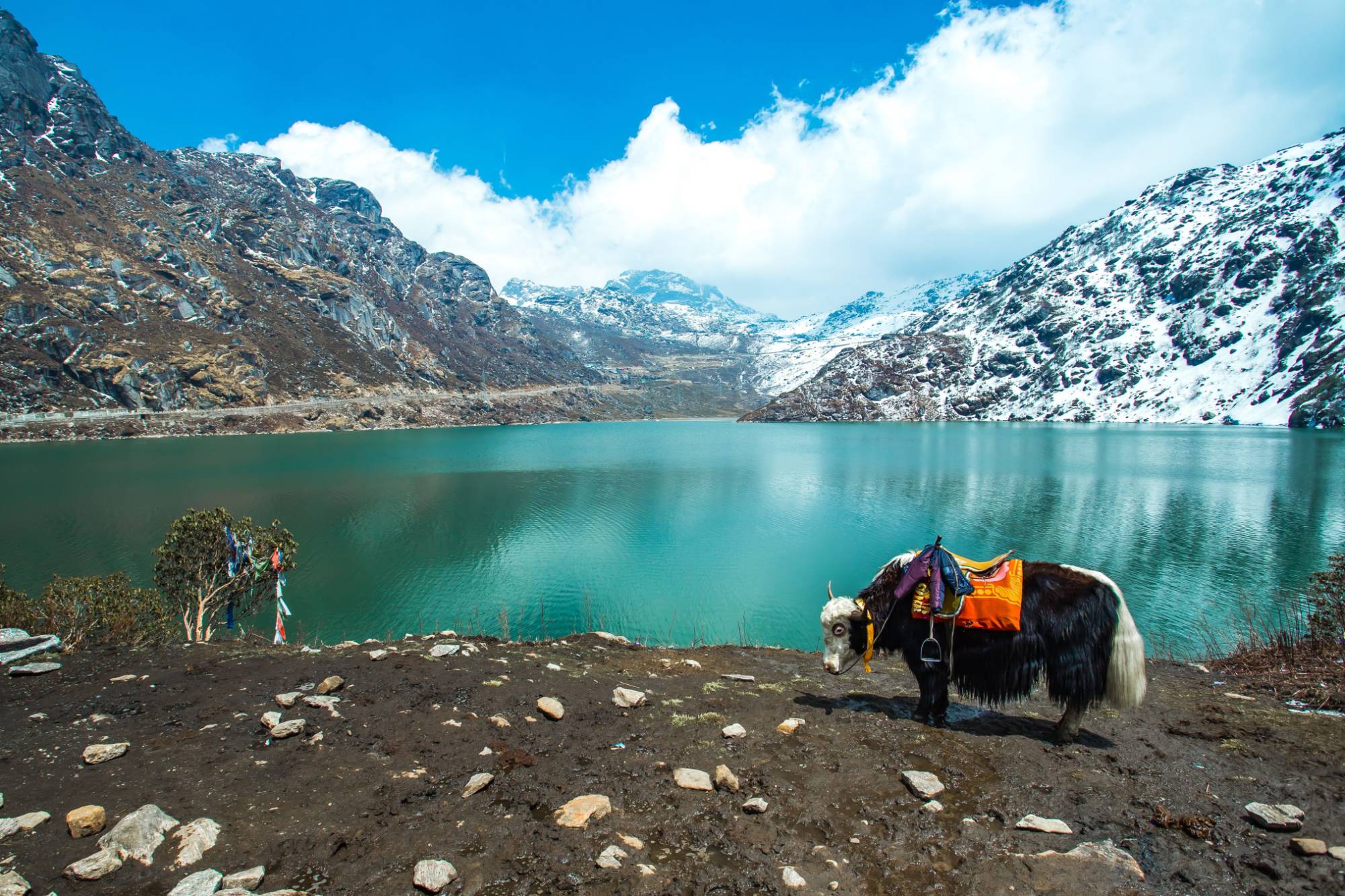 Tsomgo Lake, East Sikkim